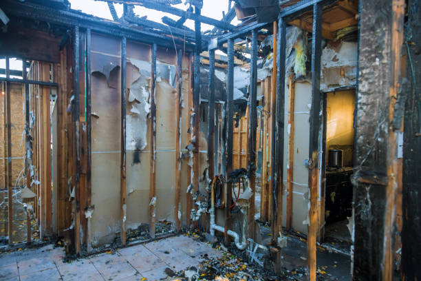 Professional Fire Damage Removal technician working in Missouri, MO